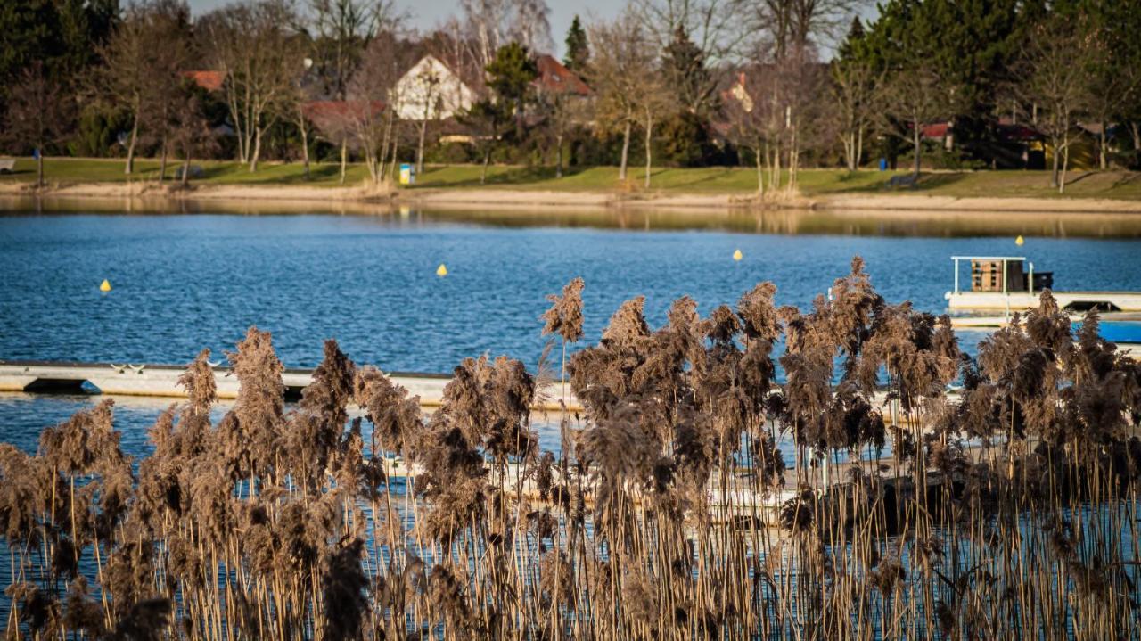 Villa Ferienhaus Frieda Kiebitzsee Falkenburg Exterior foto